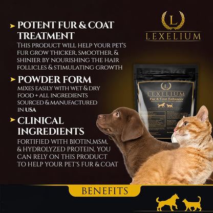 Lexelium Dermatitis Skin and Coat Supplement for Dogs and Cats - Promotes Healthy Skin and Coat, Helps with Itching and Dry Skin - Natural Powder Formula - 200g