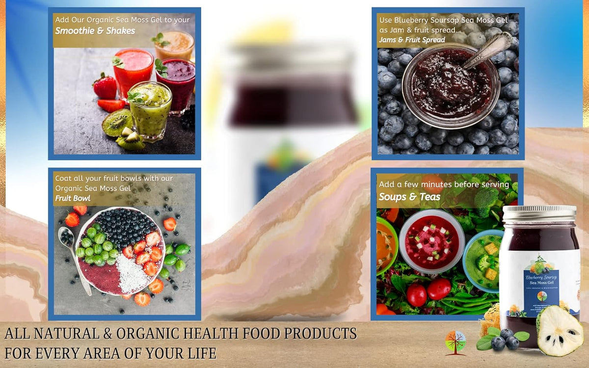 Organic Blueberry and Soursop Fruit Sea Moss – Skin, Hair, and Nails: Natural collagen precursors in sea moss may – Image 4