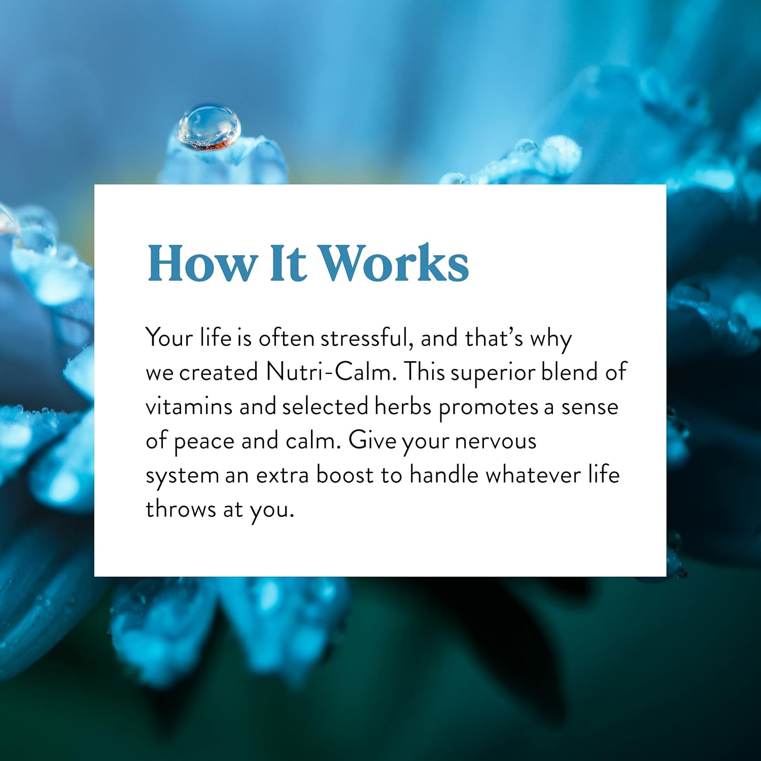 Nature's Sunshine Nutri-Calm, 60 Tablets - görsel 6