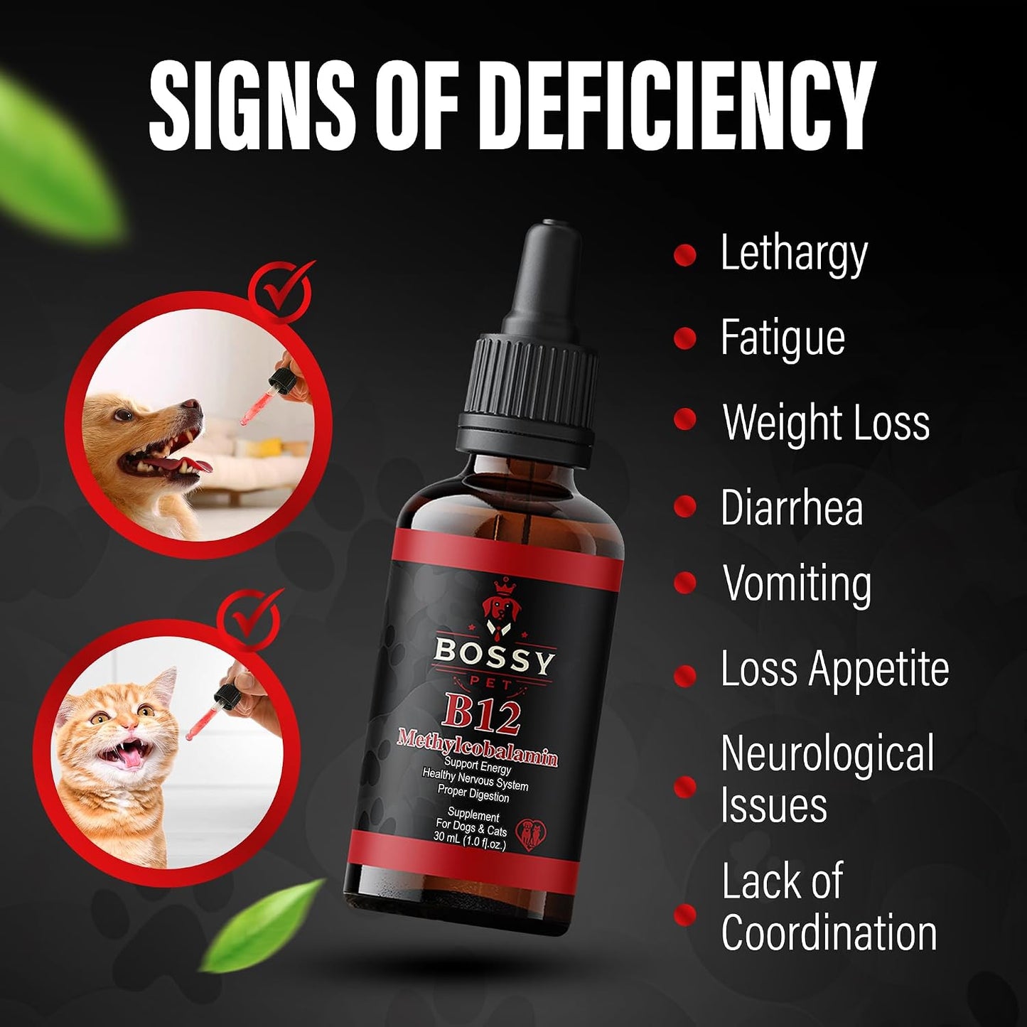 Bossy Pet Vitamin B12 Liquid Supplement for Dogs & Cats – Vet-Formulated Methylcobalamin Drops - görsel 4