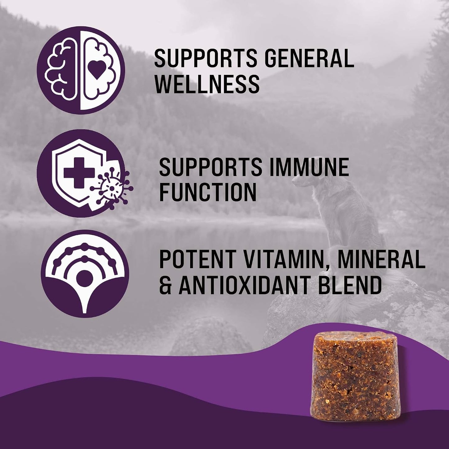 Dr. Boe's Veterinary Essentials MultiPup Vitamin Chews - görsel 5