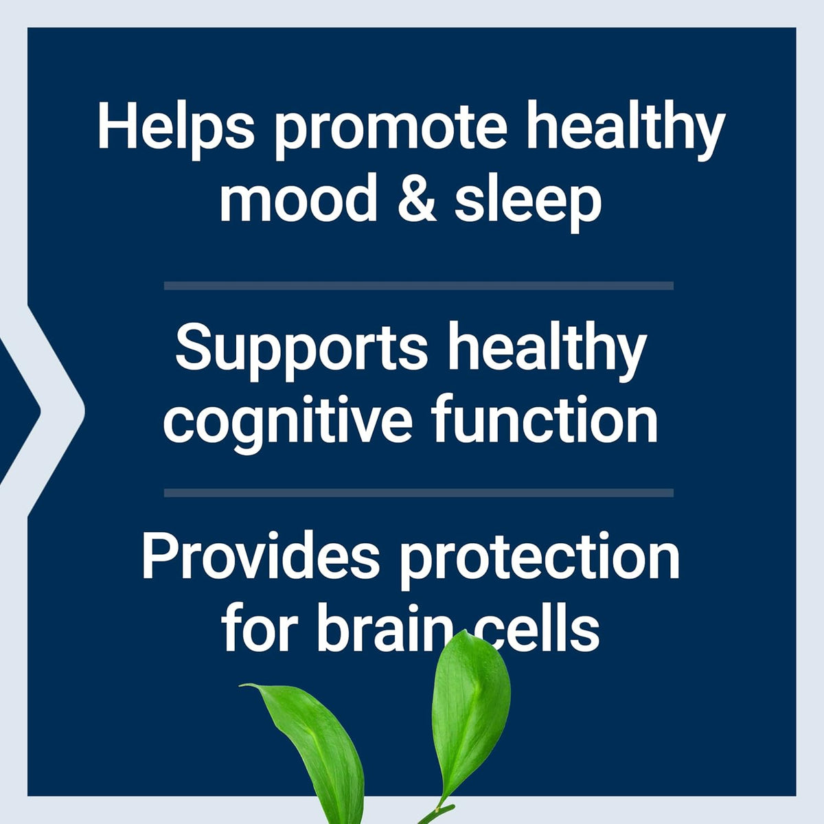 Life Extension D, L-Phenylalanine 500 mg Capsules - Essential Amino Acid Supplement - 100 Capsules - görsel 4