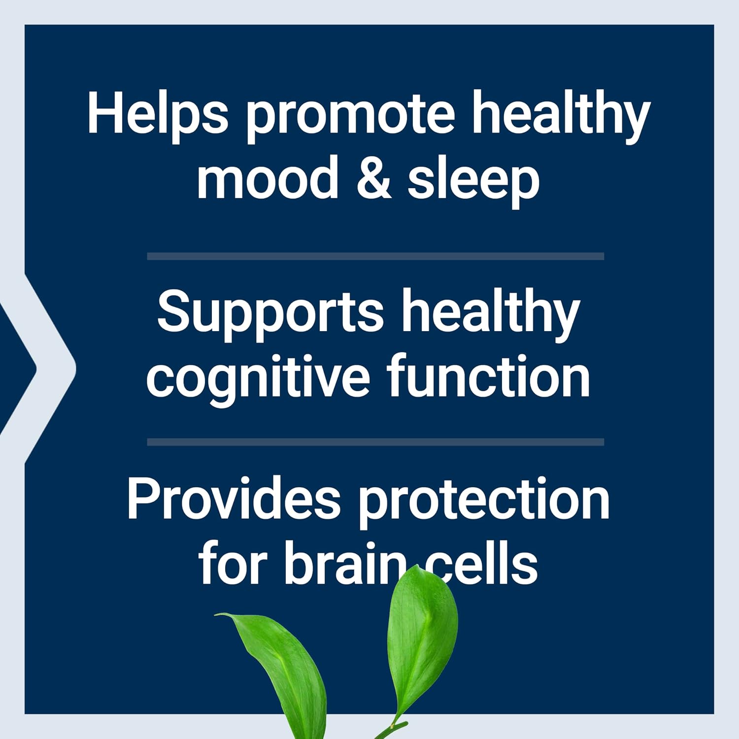 Life Extension D, L-Phenylalanine 500 mg Capsules - Essential Amino Acid Supplement - 100 Capsules - görsel 4