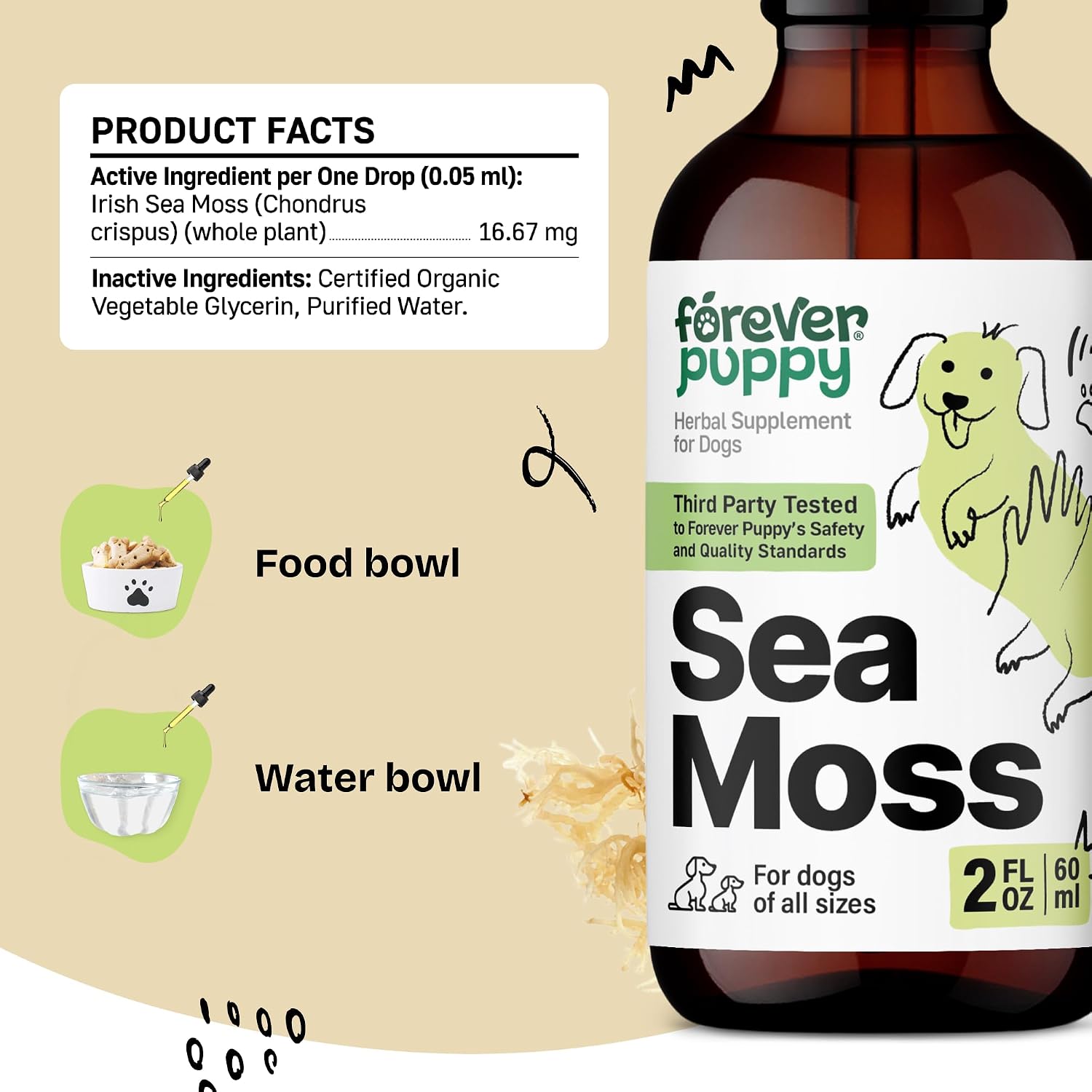 Forever Puppy Irish Sea Moss Drops for Dogs - Thyroid Function & Energy - Nutritional Drops with Liquid Sea Moss Extract - Alcohol-Free - 60 ml - görsel 3