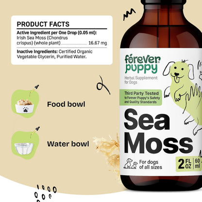 Forever Puppy Irish Sea Moss Drops for Dogs - Thyroid Function & Energy - Nutritional Drops with Liquid Sea Moss Extract - Alcohol-Free - 60 ml