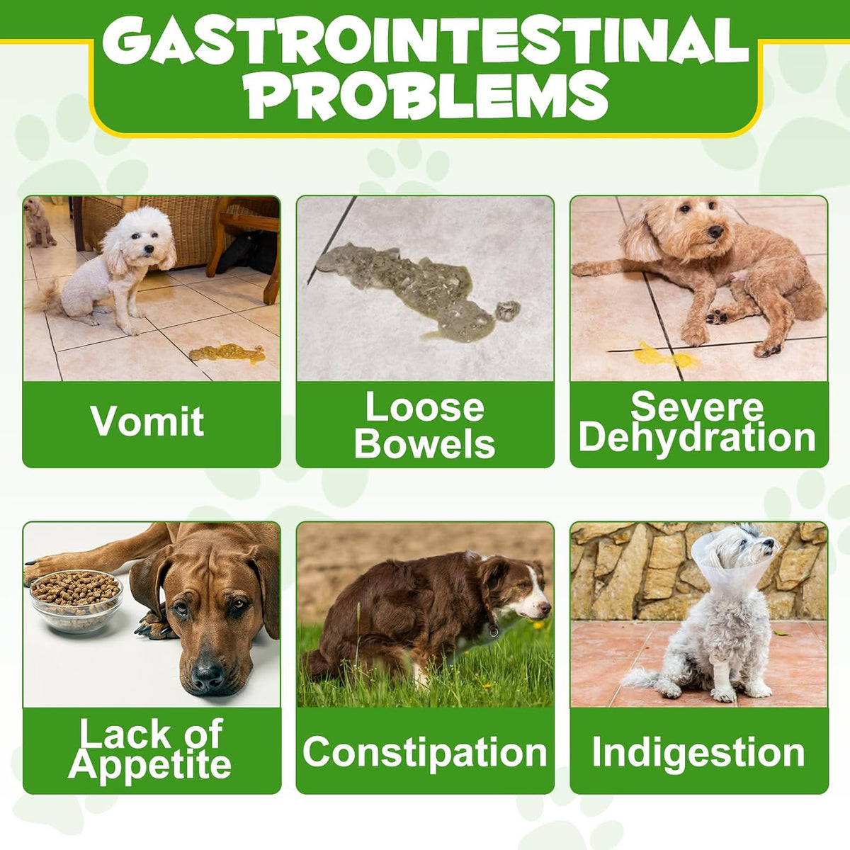 ALIVO Probiotics Powder for Dogs - Pre & Probiotic Digestive Supplement - görsel 4