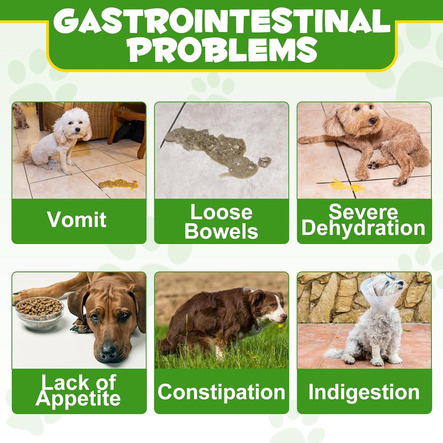 ALIVO Probiotics Powder for Dogs - Pre & Probiotic Digestive Supplement - görsel 4
