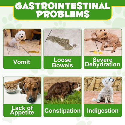 ALIVO Probiotics Powder for Dogs - Pre & Probiotic Digestive Supplement