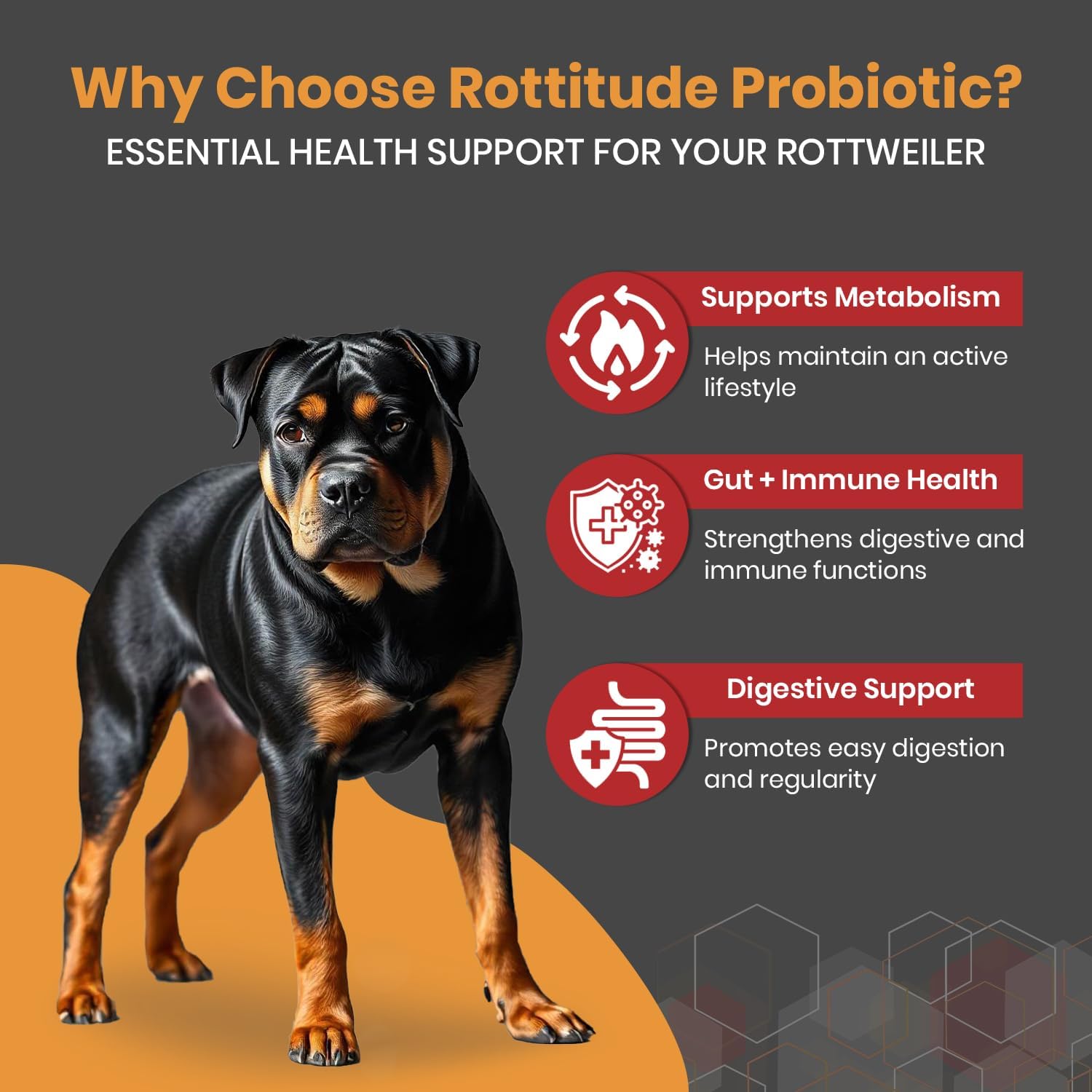 Probiotics for Dogs – Natural Dog Probiotics for Digestive Health, Gut Health, Yeast, Itchy Skin & Itchy Ears – Probiotic for Dogs – Dog Probiotic Supplement for Rottweilers - görsel 2