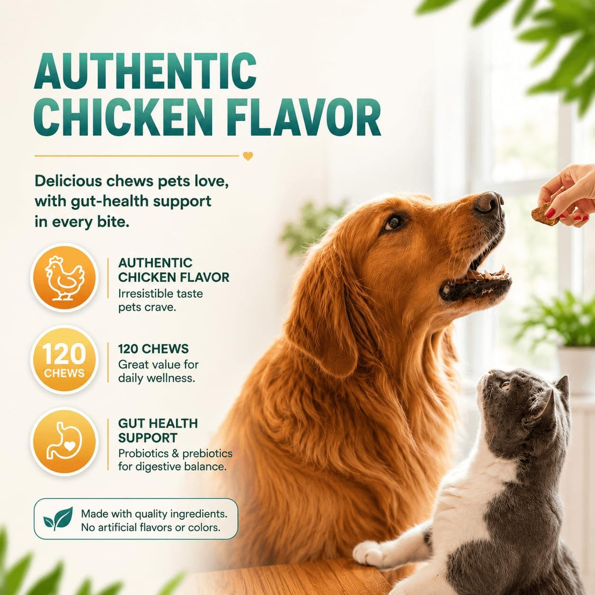 ZEBORA Probiotics for Dogs & Cats, 6 Billion – Strain Diversity: Multiple strains target different parts of the – Image 5