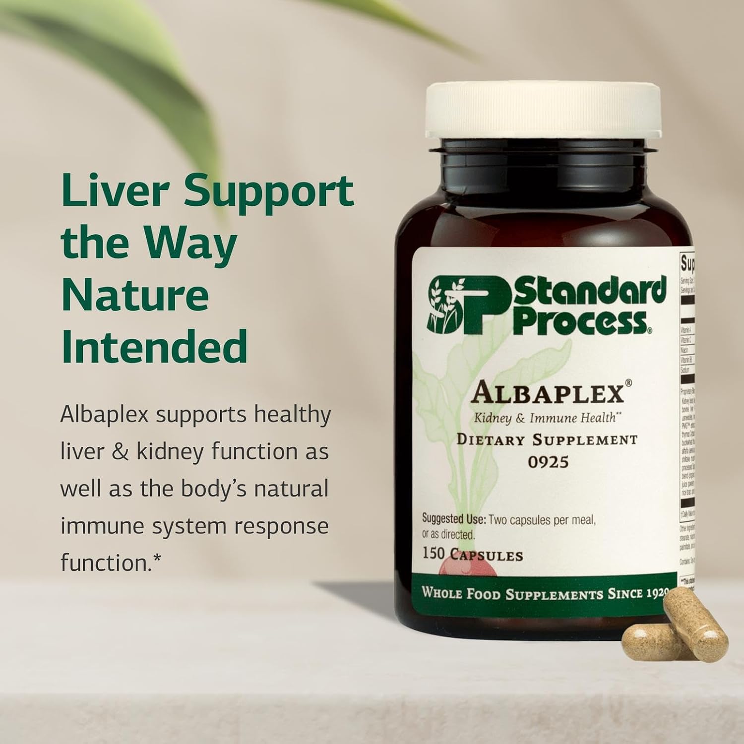 Standard Process Albaplex Liver & Immune Health Dietary Supplement – Non-Dairy – 150 Capsules - görsel 3