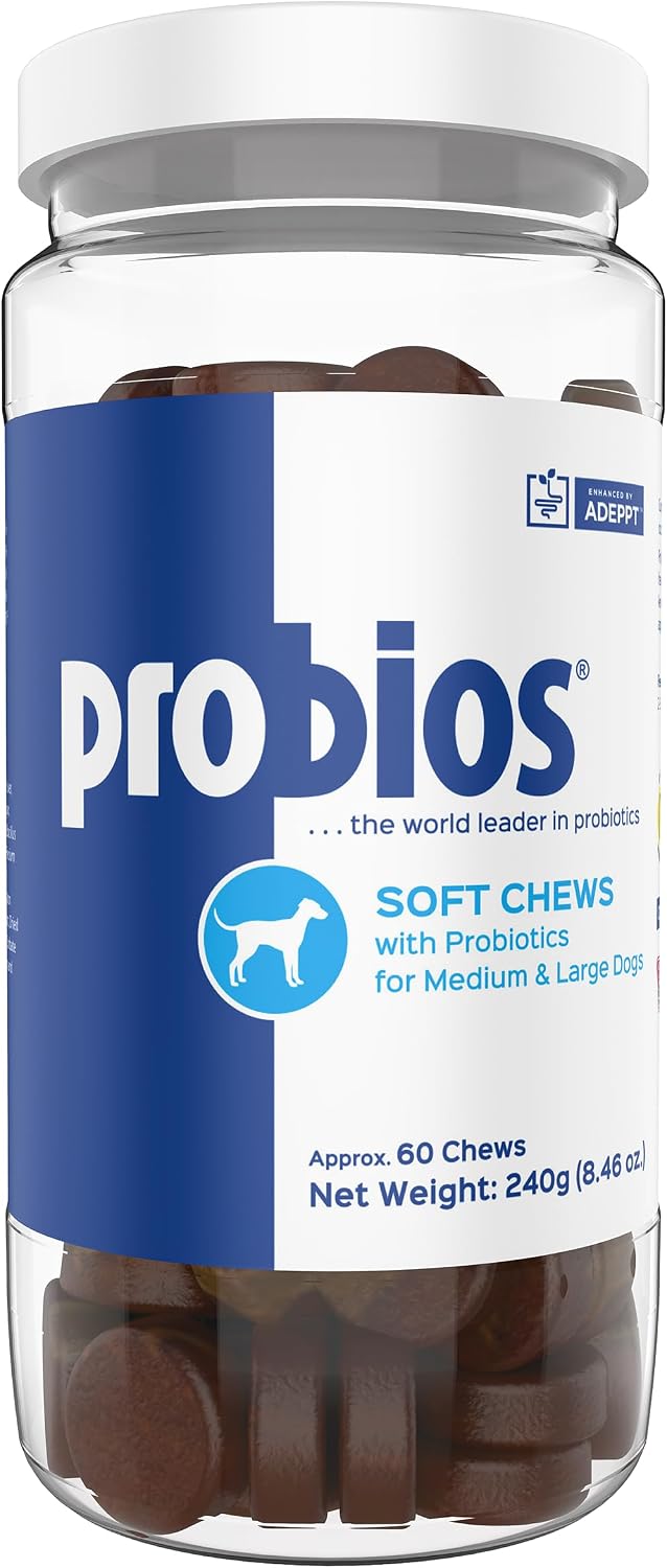 Probios for Dogs Soft Chews – Daily Probiotic for Gut Health, Digestion & Immune Support – Chicken Liver Flavour – 60 Chews - görsel 1