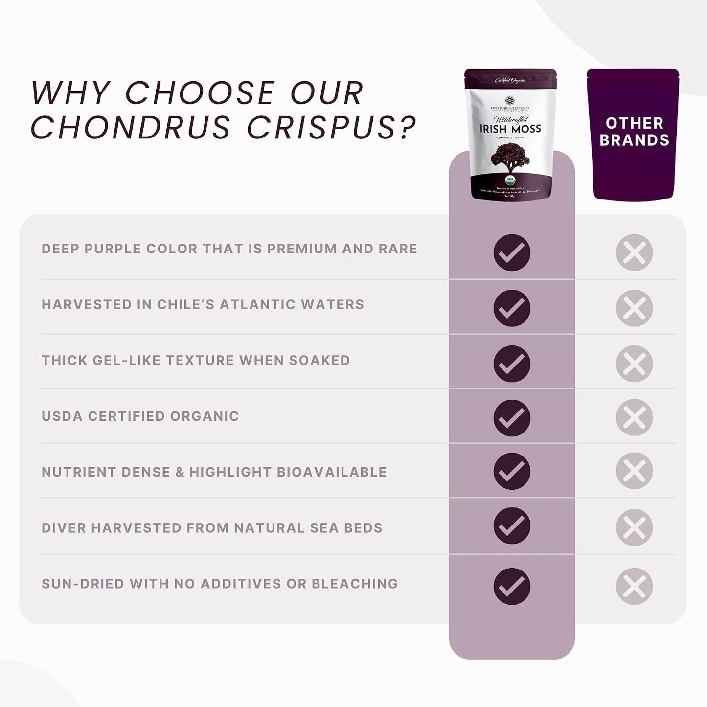 USDA Organic Irish Sea Moss (Purple) - Wildcrafted Chondrus Crispus - Sustainably Harvested from Chile - Makes Approximately 2.8 Litres of Gel - Red's Pure Botanicals - görsel 5