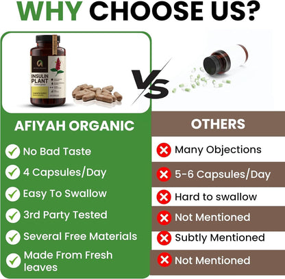 Afiyah Organic – Premium Quality Costus Igneus (Insulin Plant) Capsules – 240 Vegetable Capsules (2 Month Supply)