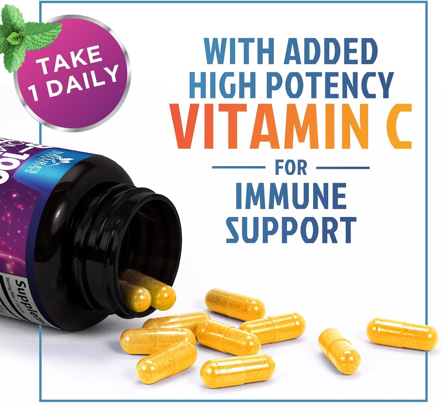 B Complex Vitamins Capsules - Super Complete B-100 Complex with Vitamin B12, B6, C, Biotin, Folate & Folic Acid for Immune & Energy Support - Supplement for Heart, Brain, & Nerve Support - 60 Capsules - görsel 6