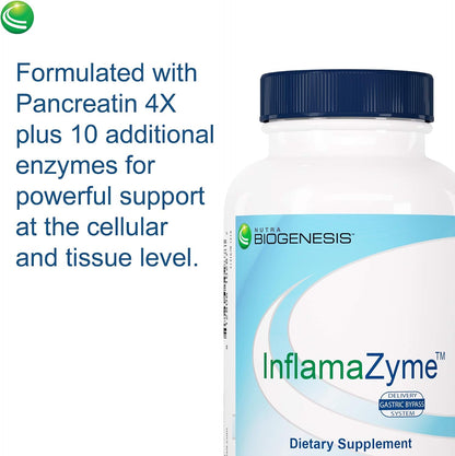 Nutra BioGenesis InfamaZyme - Digestive Enzymes for Women & Men, Pancreatin Enzyme Supplement for Digestive Health with Bromelain, Protease, Papain, Immune, Joint & Digestion Support - 90 Capsules