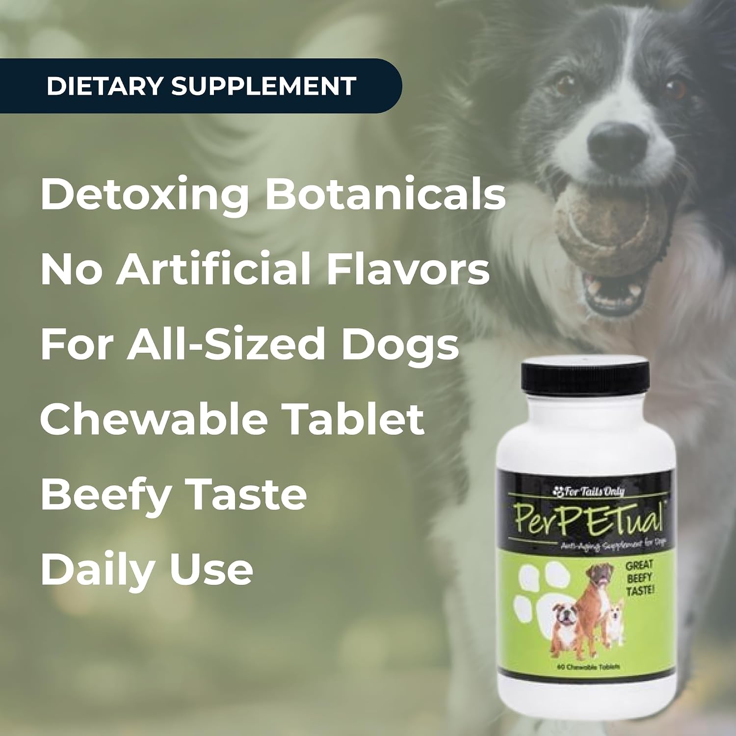 Youngevity Perpetual™ - Maximum Strength Anti-Ageing Dog Bone Support - with Glucosamine, Choline, MSM, Milk Thistle, Calcium, Turmeric & More - 60 Chewable Tablets - görsel 4