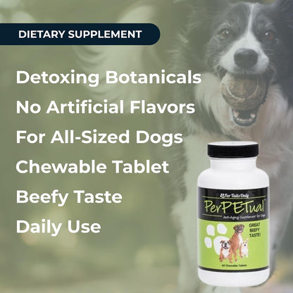 Youngevity Perpetual™ - Maximum Strength Anti-Ageing Dog Bone Support - with Glucosamine, Choline, MSM, Milk Thistle, Calcium, Turmeric & More - 60 Chewable Tablets
