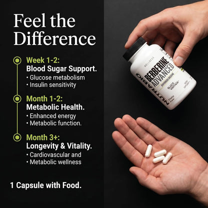 NutraBio Berberine Advanced - Dihydroberberine 200 mg | Carbohydrate Tolerance Support, 60 Capsules