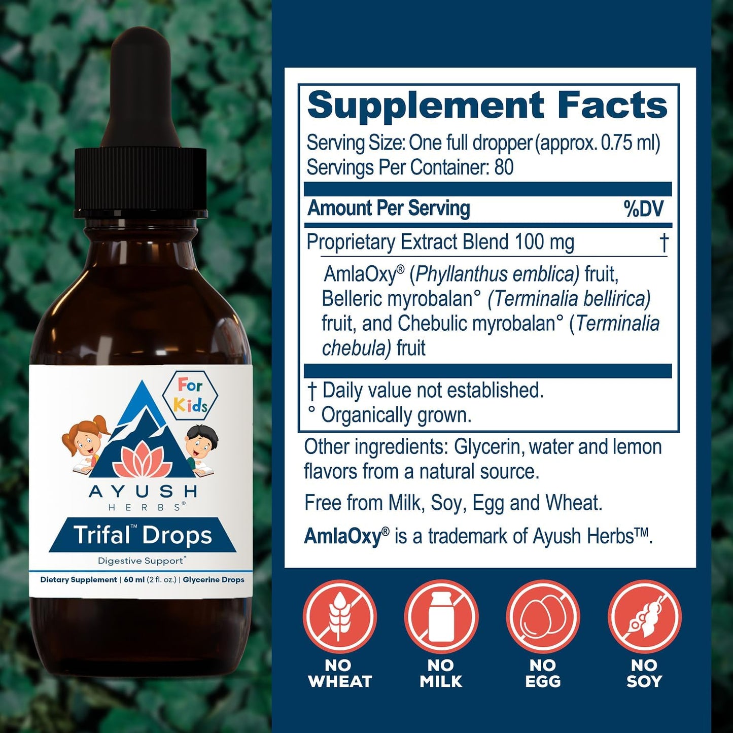 Ayush Herbs Kids Trifal Drops - 60 ml (80 Servings) - görsel 3
