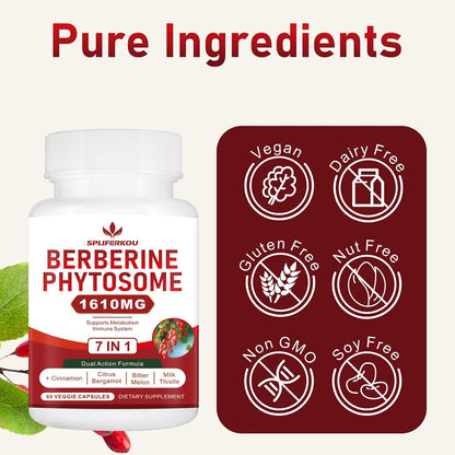 Spliferkou 7-in-1 Berberine Phytosome & Ceylon Cinnamon Complex – 60 Capsules