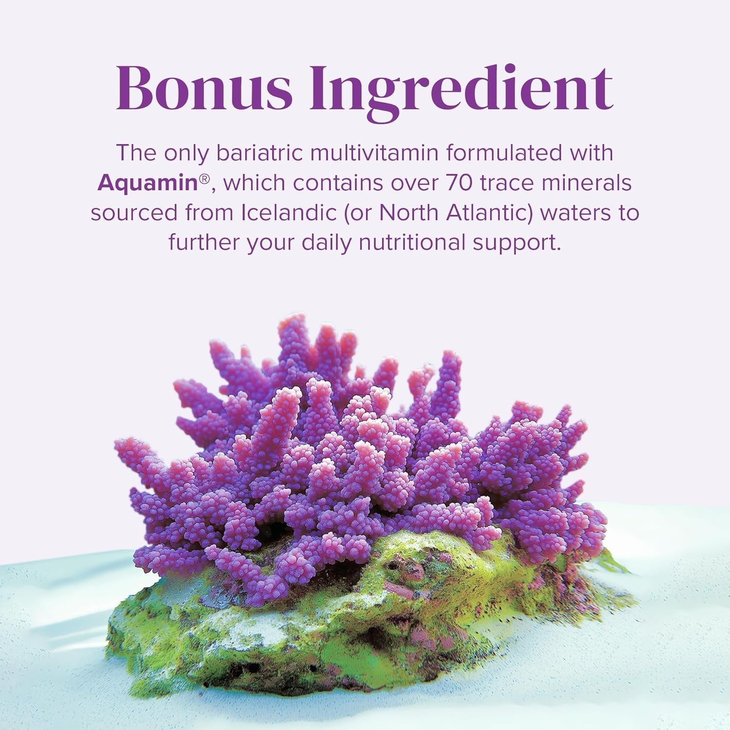 BariMelts Once Daily Bariatric Multivitamin with Iron - 60 Easy-Swallow Caplets (2-Month Supply) - görsel 6