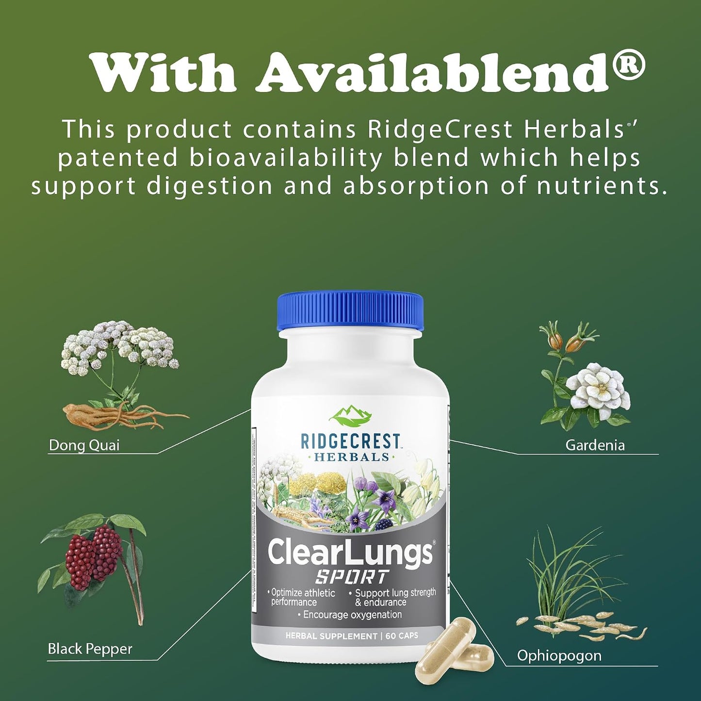 Ridgecrest Herbals ClearLungs Sport, Lung Support with Cordyceps, Rhodiola (60 Capsules) - görsel 7