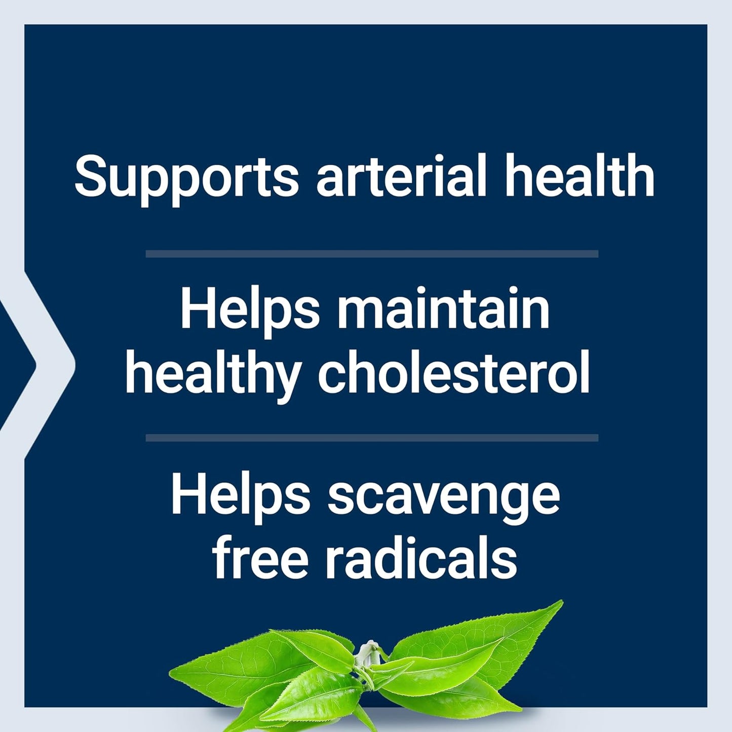 Life Extension Theaflavin Standardised Extract – Tea Leaf Flavonoids, Cardiovascular Support – 30 Capsules - görsel 3