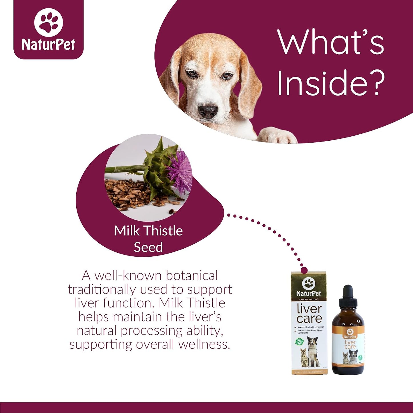 Arrowleaf Pet Liver Care for Cats and Dogs – Milk Thistle Herbal Tincture, 100 ml - görsel 3