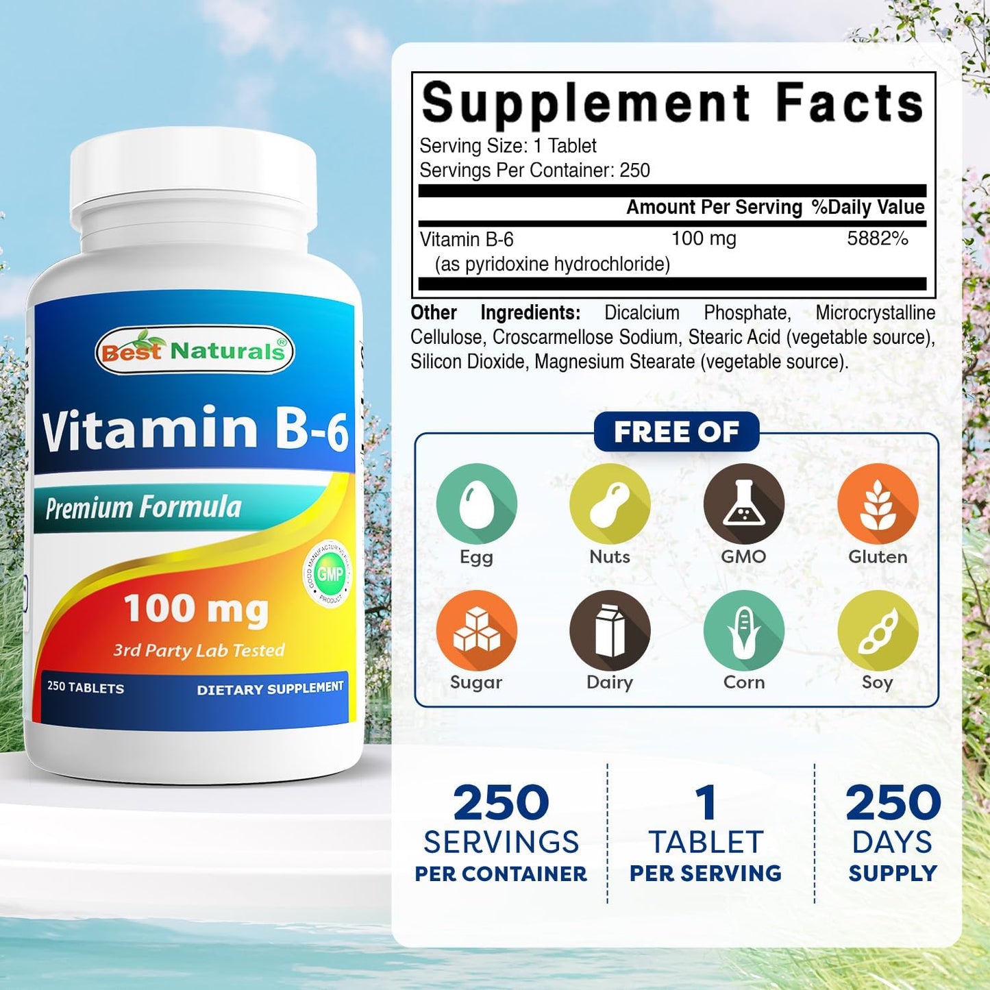 Best Naturals Vitamin B6 100 mg, 250 Tablets - görsel 2