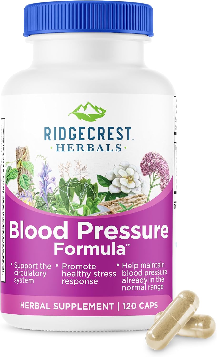 RidgeCrest Herbals Blood Pressure Herbal Formula - görsel 1