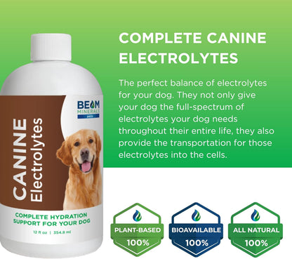 Complete Canine Electrolytes | Full-Spectrum Electrolytes for Dogs | 355 ml