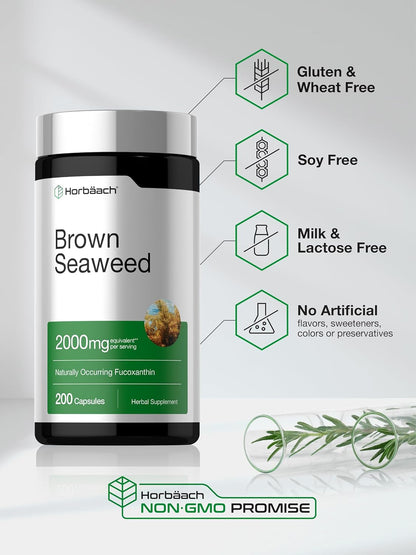 Horbäach Brown Seaweed Extract Capsules, 200 Capsules