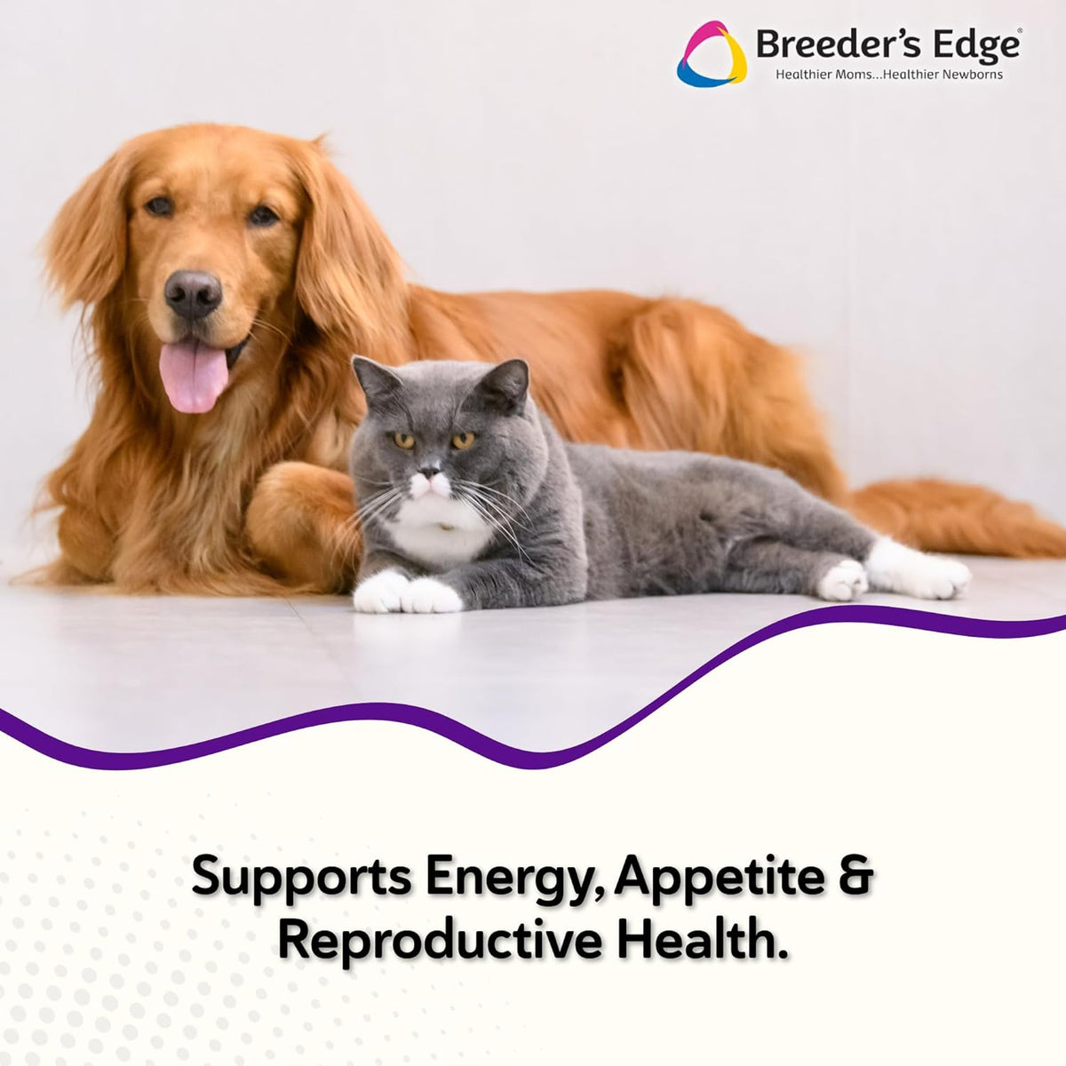 Breeder’s Edge B Strong Powder - B-Complex Supplement for Dogs and Cats, 300g - görsel 2