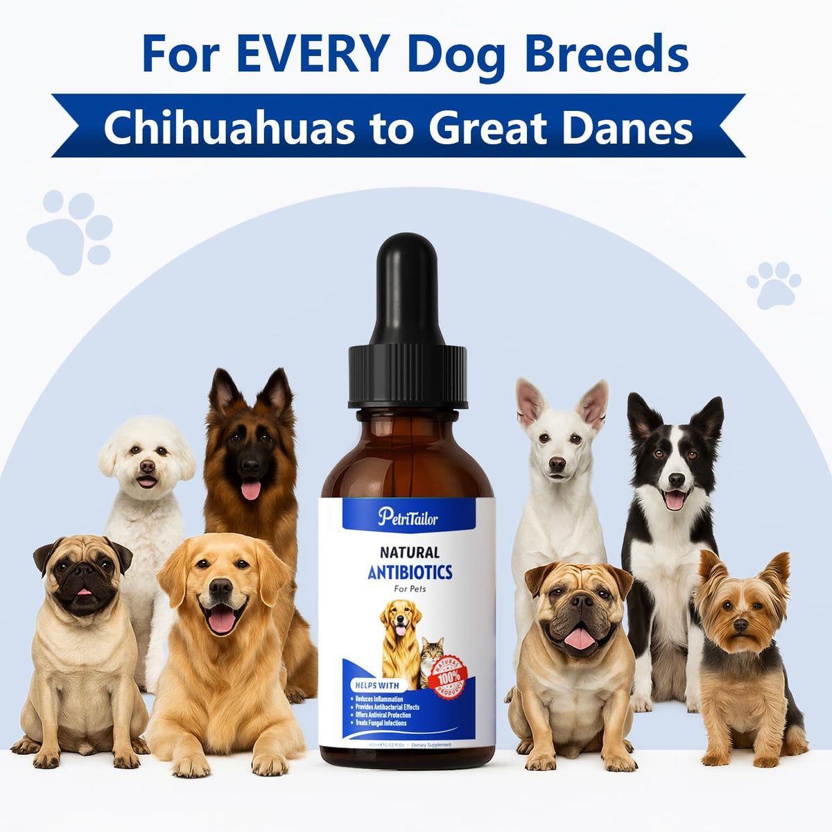 PetriTailor Natural Antibiotics for Dogs - Organic Herbal Supplement Liquid Drops - görsel 6