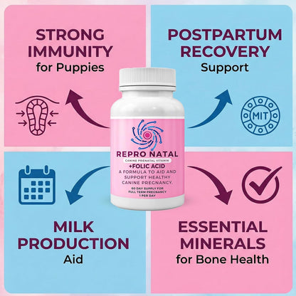 ReproNatal Prenatal Multivitamin Capsules for Dogs – 60-Day Supply