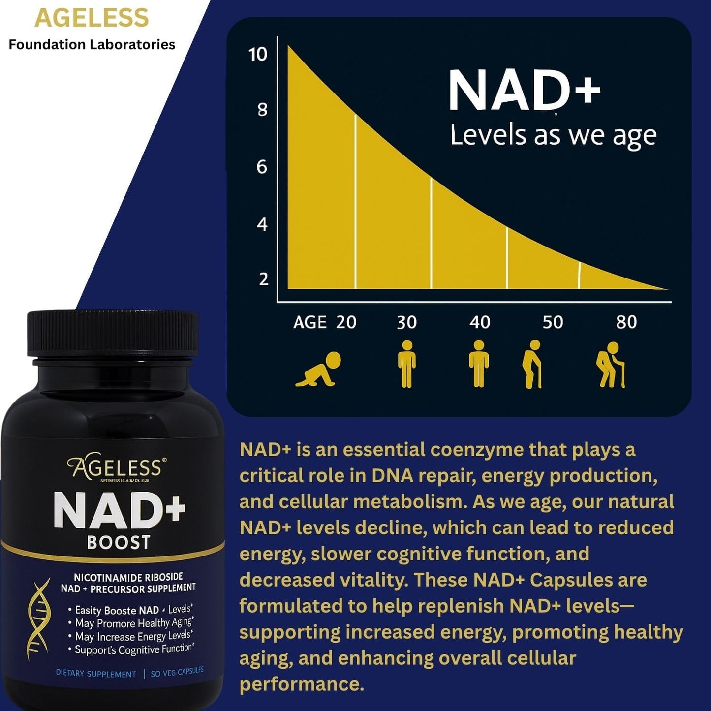 Ageless NAD+ Supplement – Nicotinamide Riboside Chloride – Supports Energy, Focus & Healthy Ageing – 30 Capsules - görsel 5