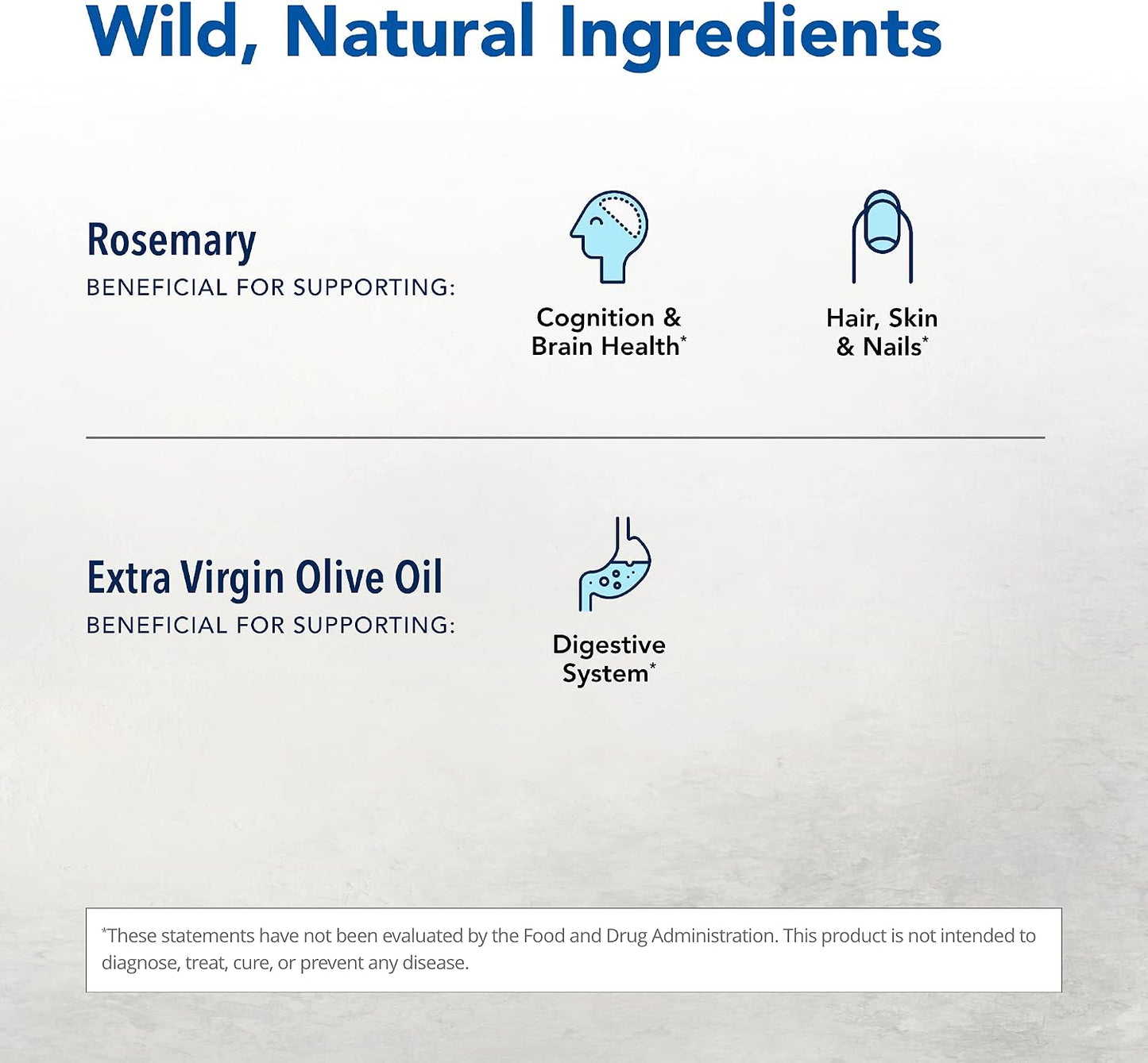 Rosemanol Wild Rosemary Oil - Nerve Health & Antioxidant Support - görsel 3