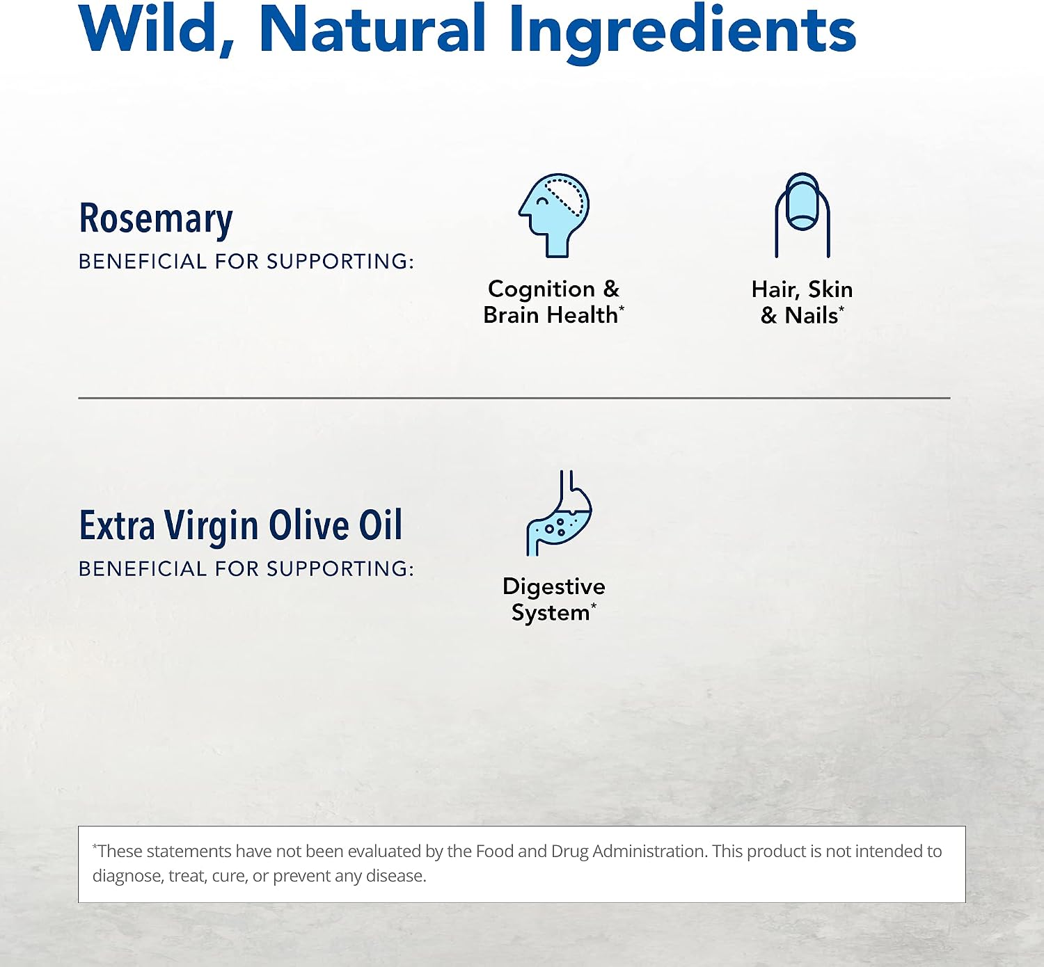 Rosemanol Wild Rosemary Oil - Nerve Health & Antioxidant Support - görsel 3