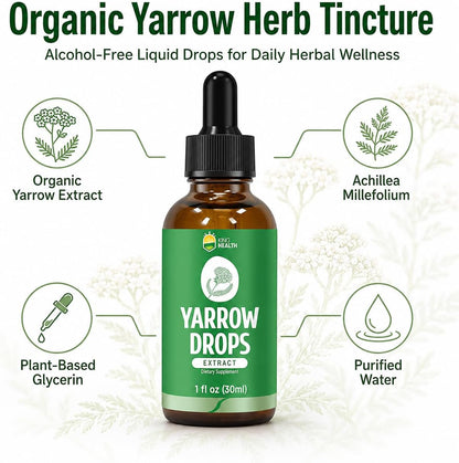 KingHealth Organic Yarrow Herb Tincture – Alcohol-Free Achillea Millefolium Extract for Women – 30 ml