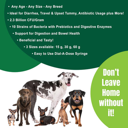 Dogzymes Canine Probiotic Paste with Saccharomyces boulardii – 15g (2.3 Billion CFU/g)