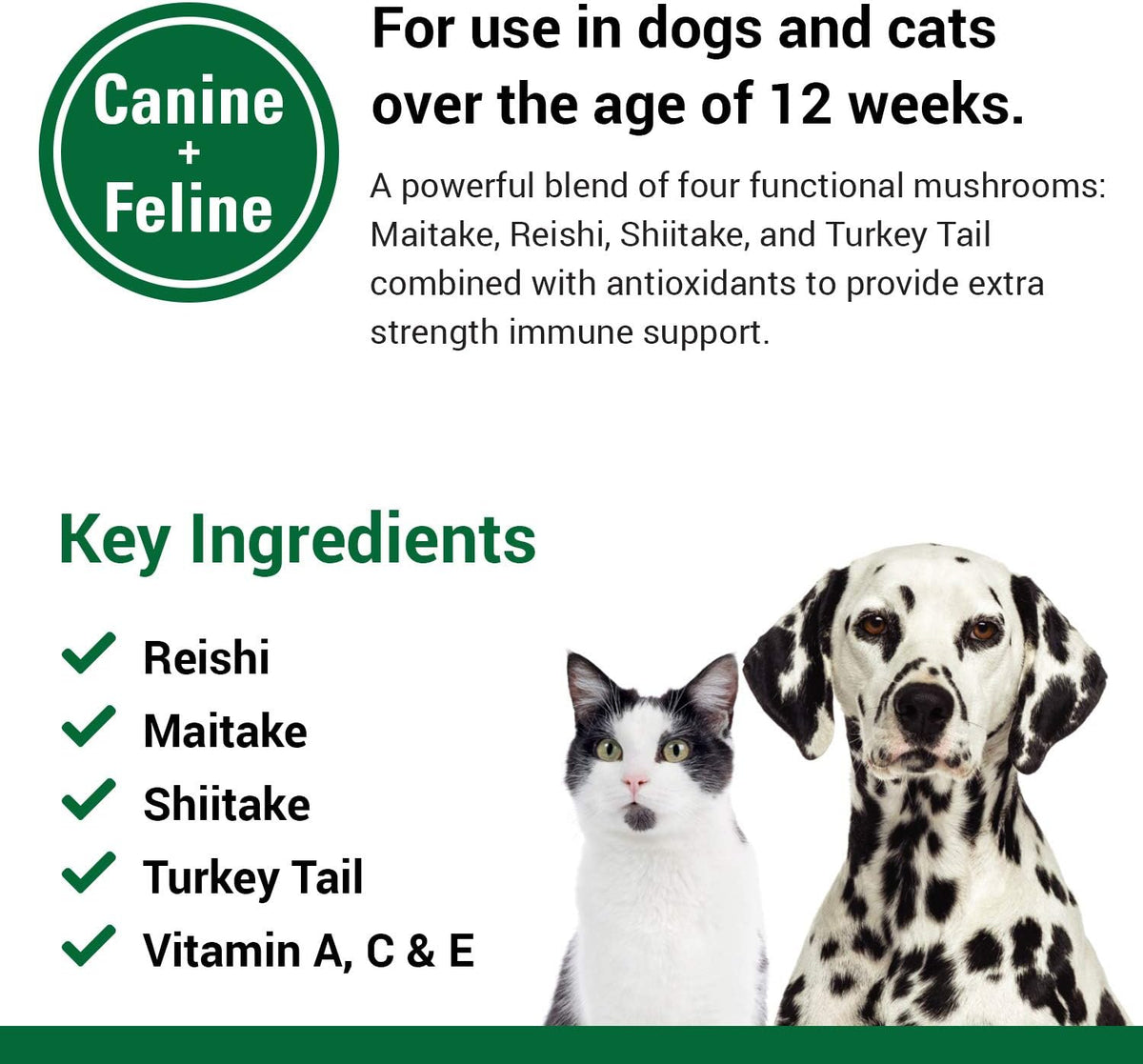 CAS Options Extra Strength Immune Support for Dogs, Cats – Pet Health Supplement, Dog Antioxidant Care – Extra-Strength Dog Supplement Formula – 120 Soft Chews - görsel 5