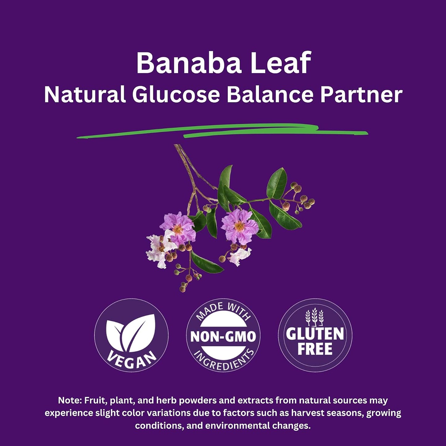 Paradise Herbs Banaba Leaf 12:1 Concentrated Extract - 250 mg, 180 Capsules - görsel 3