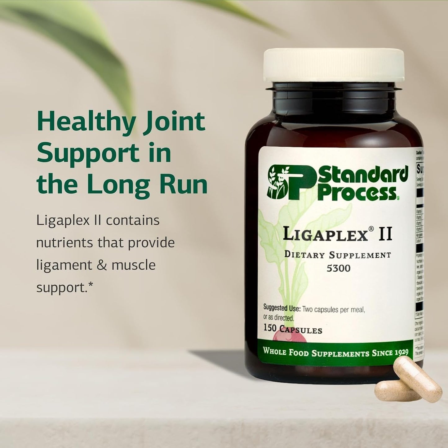 Standard Process Ligaplex II - Joint & Bone Support - Manganese Food Supplement with Vitamins B12, A & D - 150 Capsules - görsel 3