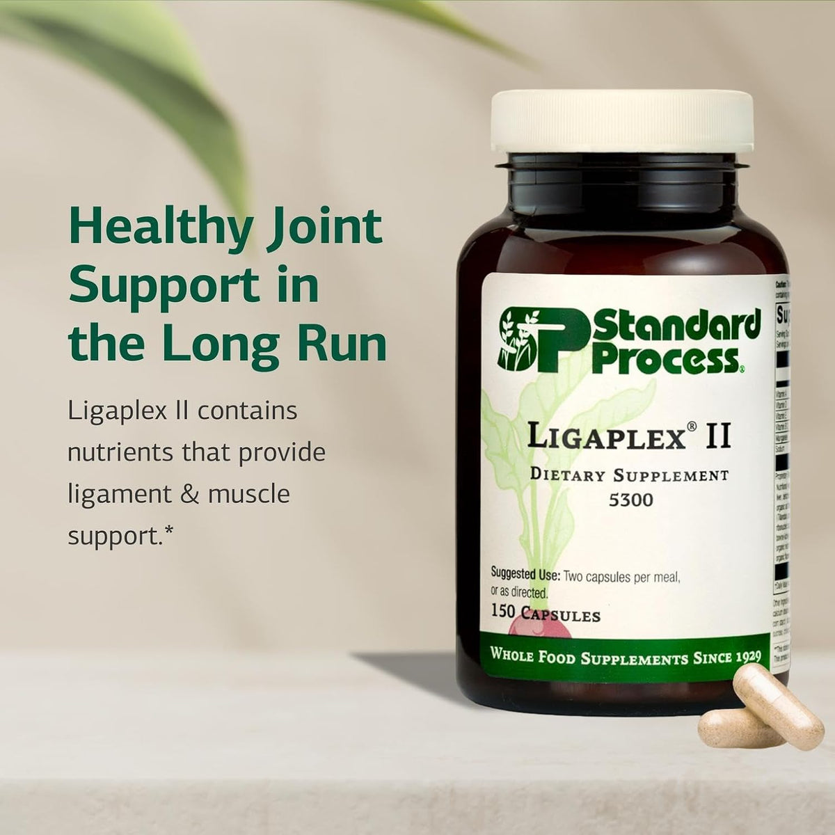 Standard Process Ligaplex II - Joint & Bone Support - Manganese Food Supplement with Vitamins B12, A & D - 150 Capsules - görsel 3