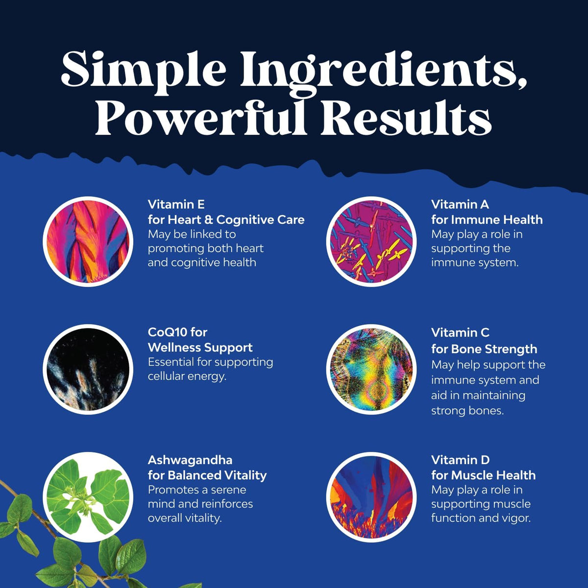 Natures Craft Daily Men's Multivitamin Gummies - 90 Count - görsel 3