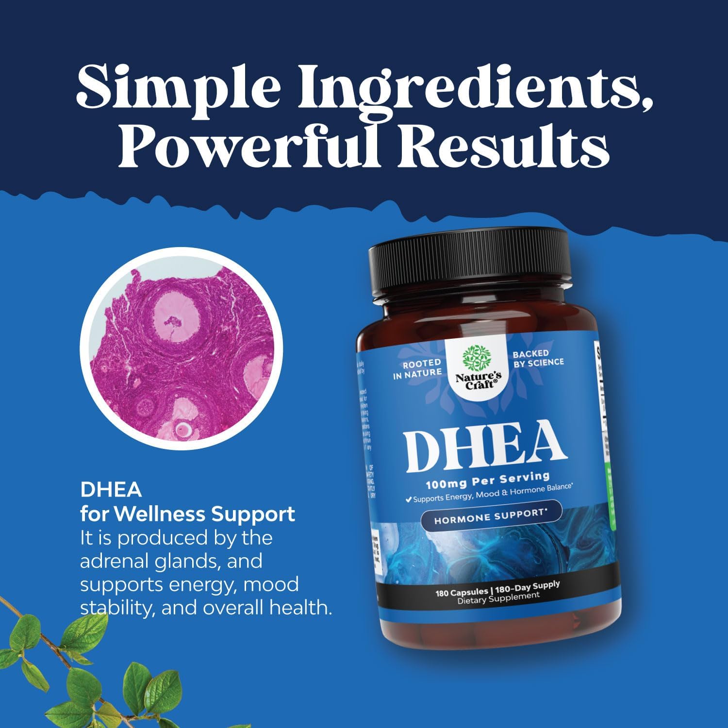 DHEA 100mg Capsules for Hormone Balance, Mood & Energy Support - 180 Capsules - görsel 3