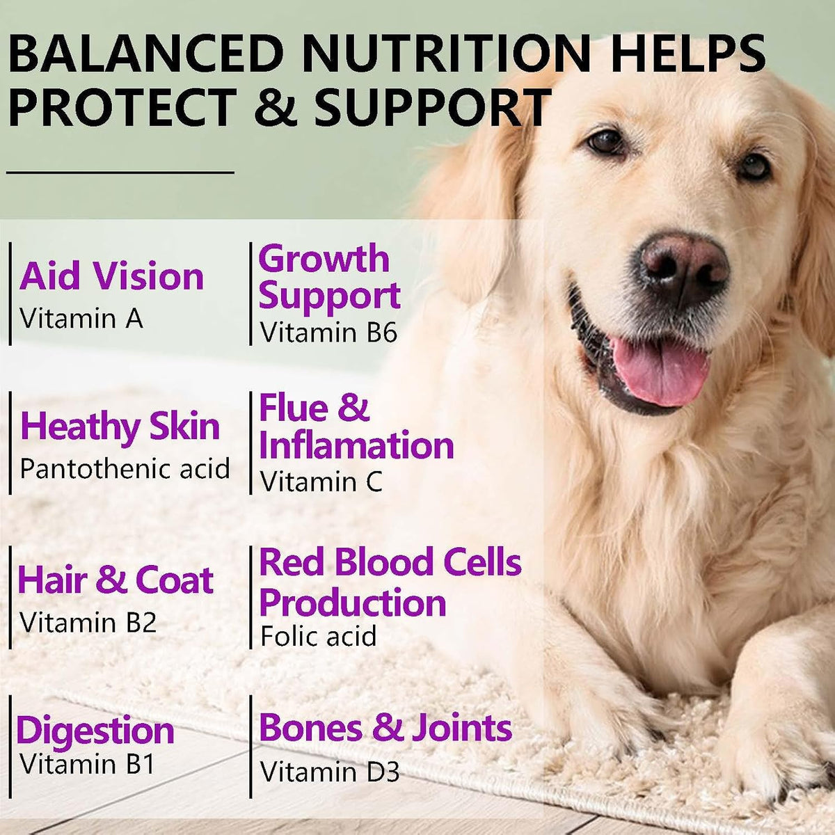 FUKEVY 15-in-1 Dog Multivitamin Soft Chews – Glucosamine, Probiotics & Joint Support (150 count) - görsel 6