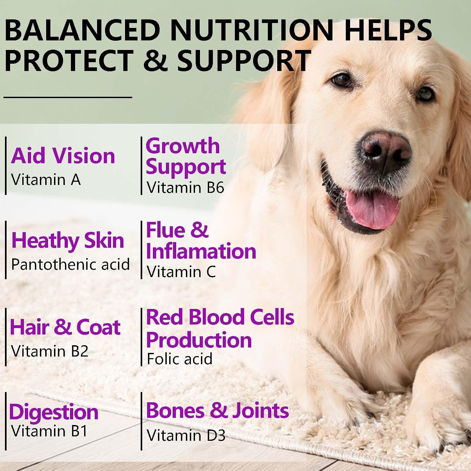 FUKEVY 15-in-1 Dog Multivitamin Soft Chews – Glucosamine, Probiotics & Joint Support (150 count) - görsel 6