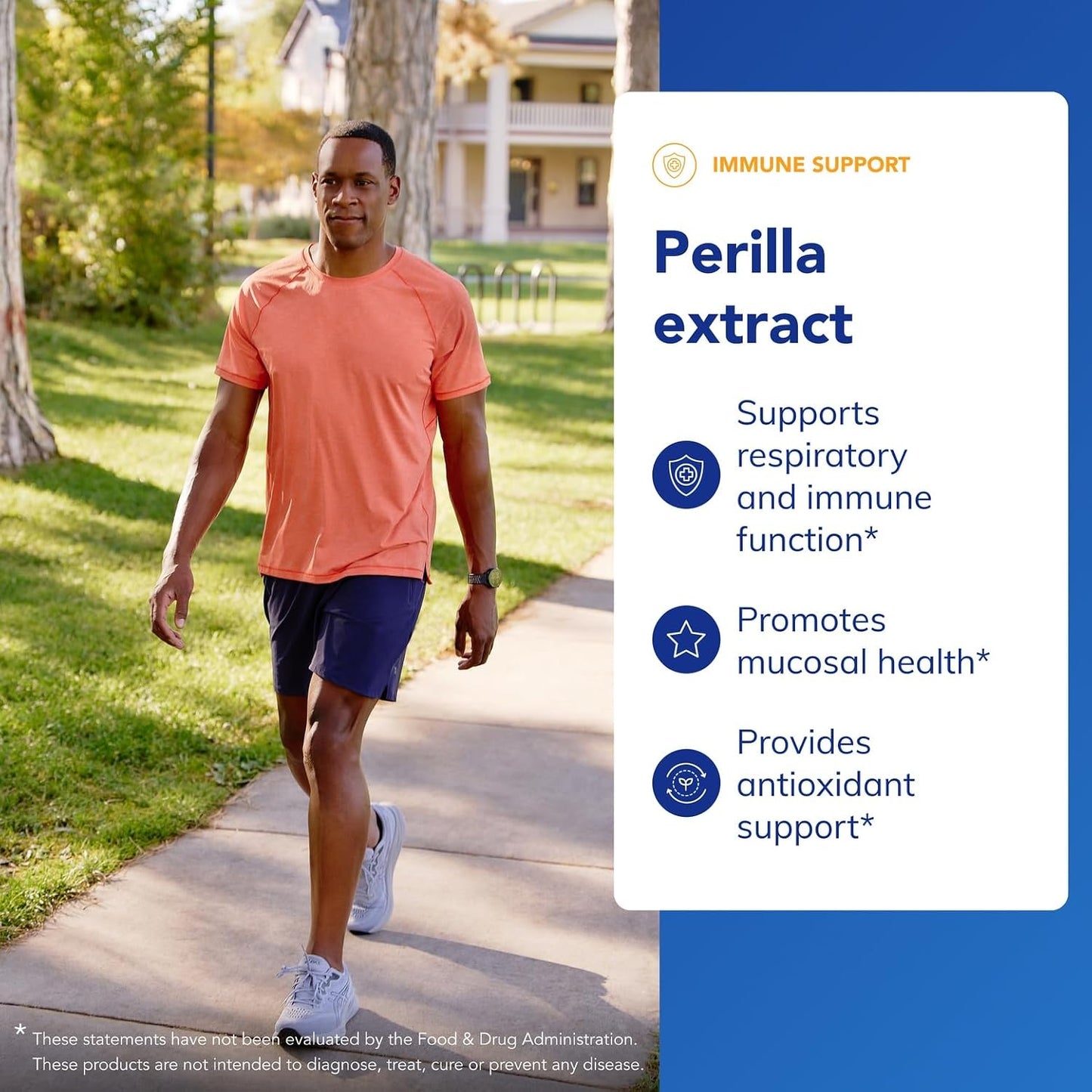 Pure Encapsulations Perilla Extract | Supports Healthy Modulation of Th2 Cytokines and Mucosal Health | 90 Capsules - görsel 3